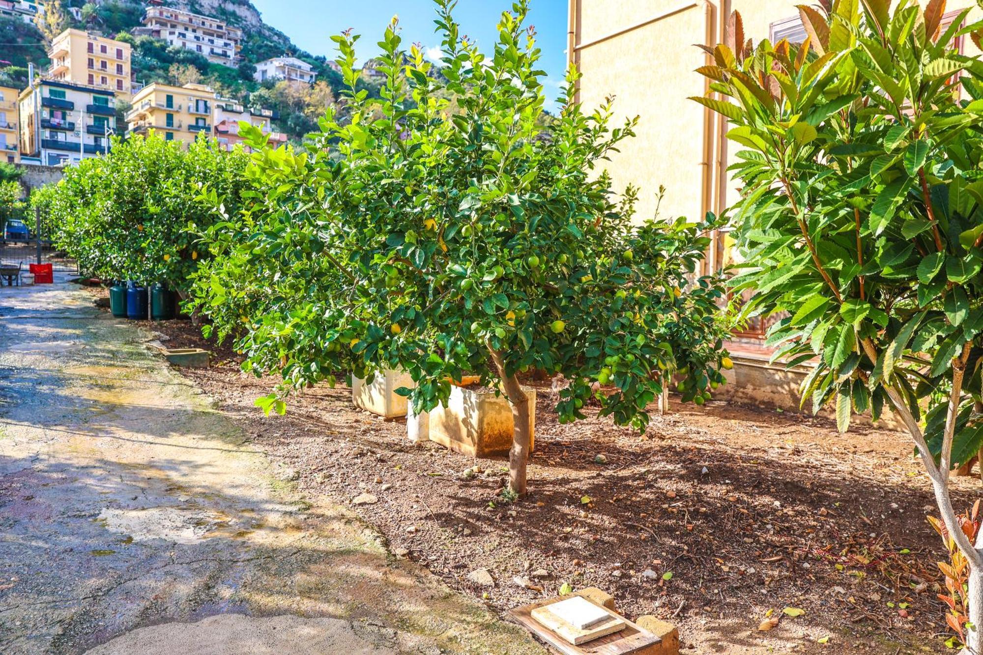 B&B Giardino Dei Cedri Trabia Exterior foto